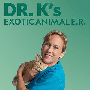 Photo La Clinique des animaux exotiques