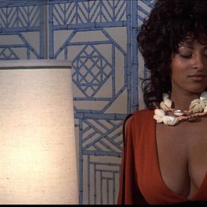 Photo Coffy - La Panthère noire de Harlem