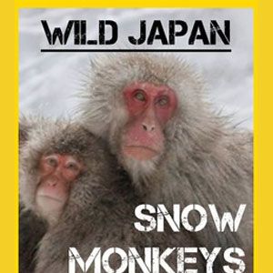 Photo Destination Wild : Les macaques japonais