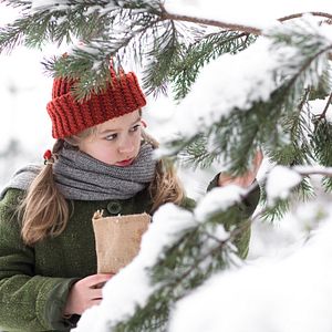Photo Noël dans la forêt de la chouette