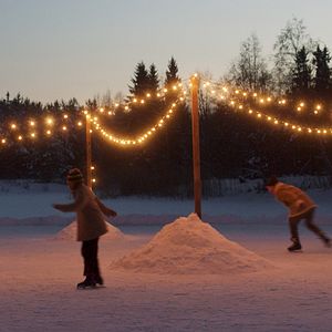 Photo Noël dans la forêt de la chouette