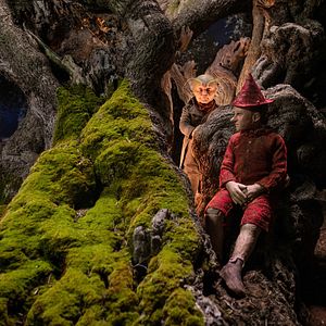 Photo Pinocchio