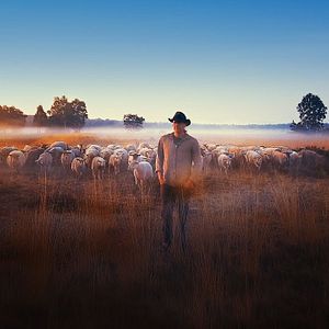 Photo No Way
