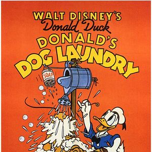 Photo La Blanchisserie de Donald