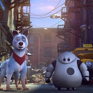 Photo Pets United : L'union fait la force