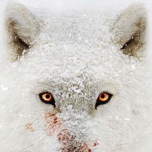 Photo Planète hostile