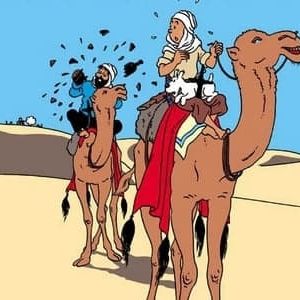 Photo Les Aventures de Tintin