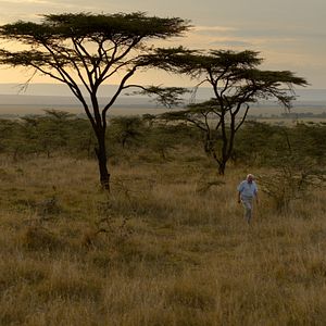 Photo David Attenborough : une vie sur notre planète