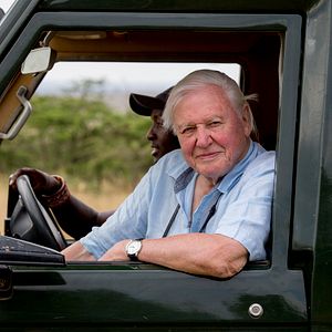 Photo David Attenborough : une vie sur notre planète