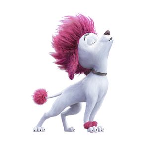Photo 100% loup