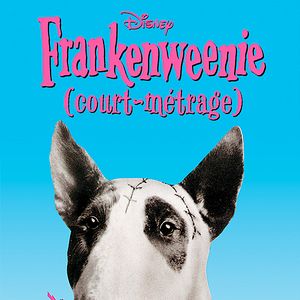 Photo Frankenweenie