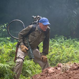 Photo Tremors: Shrieker Island