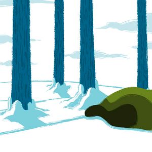 Photo Le Noël de petit lièvre brun
