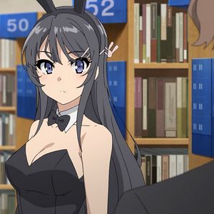 Photo Rascal Does Not Dream of Bunny Girl Senpai