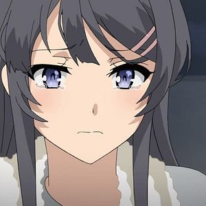 Photo Rascal Does Not Dream of Bunny Girl Senpai