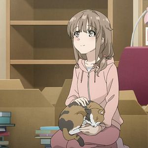 Photo Rascal Does Not Dream of Bunny Girl Senpai