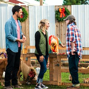 Photo Stephen Colletti