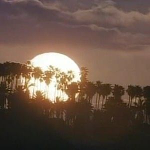 Photo Alerte à Malibu