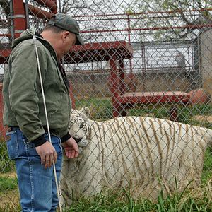 Photo Urgences Animales