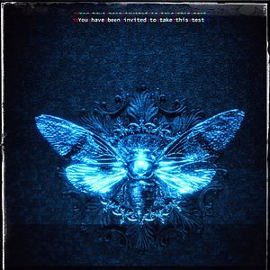 Photo Dark Web: Cicada 3301