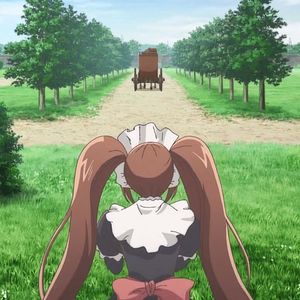 Photo Hortensia Saga