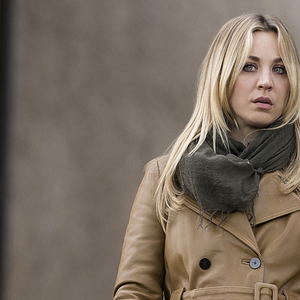 Photo The Flight Attendant