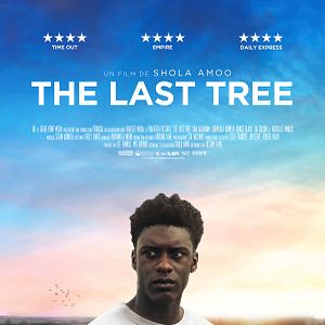 Photo The Last Tree