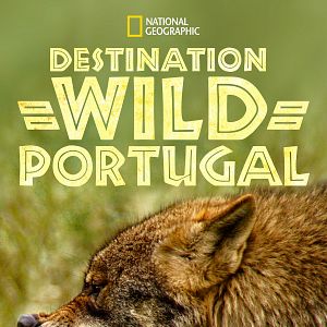 Photo Destination Wild: Portugal