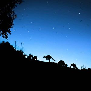 Photo Terre : les couleurs nocturnes