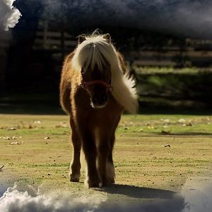 Photo Parks and Recreation