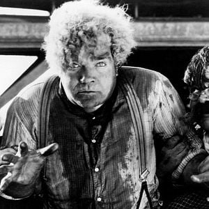 Photo Hollywood Maudit