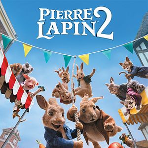 Photo Pierre Lapin 2