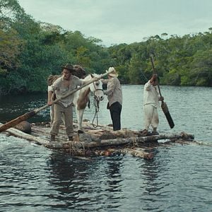 Photo Tragic Jungle