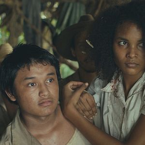 Photo Tragic Jungle