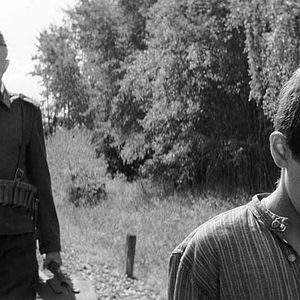 Photo The Painted Bird