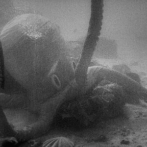 Photo 20000 lieues sous les mers