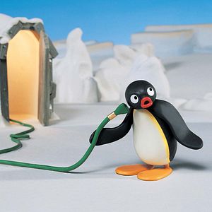 Photo Pingu
