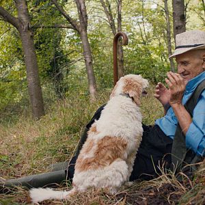 Photo Chasseurs de truffes