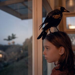 Photo Griffin Murray-Johnston