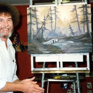 Photo Bob Ross : Aucune Ombre au Tableau ?