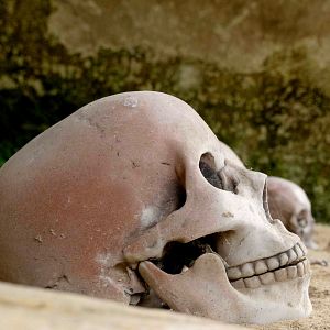 Photo Sur les sentiers de l'histoire
