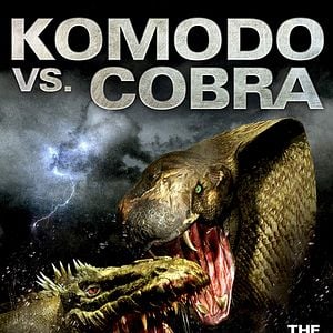 Photo Komodo vs. Cobra