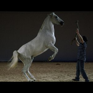 Photo Gazelle
