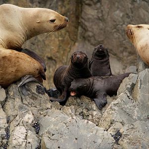 Photo Grandir dans le monde animal
