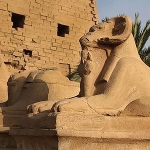 Photo Les trésors perdus de la Vallée des Rois