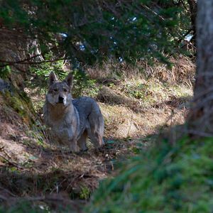 Photo You vs. Wild : Gardons la tête froide