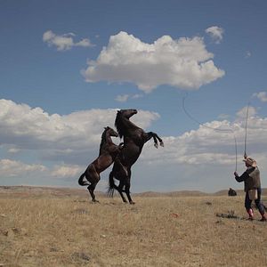 Photo Les Cowboys, mes héros