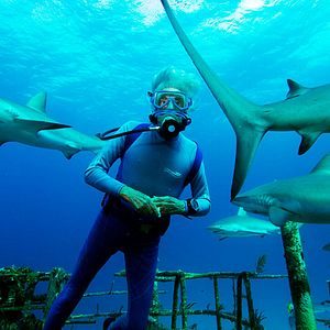 Photo Wonders of the Sea 3D