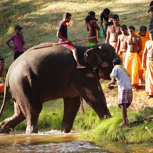 Photo Altaïr Conférences - Sri Lanka, L'île des dieux et des hommes