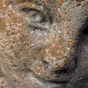 Photo Her Socialist Smile